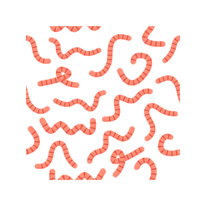 Helminthiasis (worm infestations)