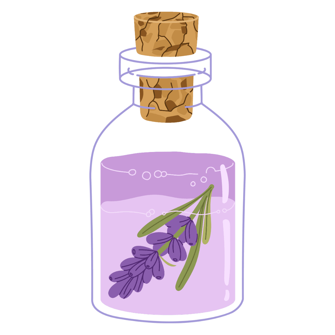 Image for Use of herbs and plants